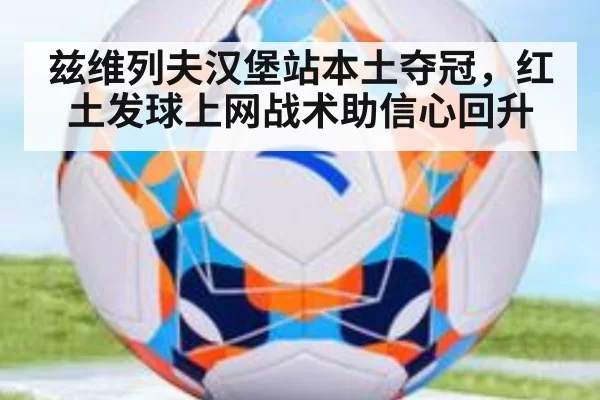 兹维列夫汉堡站本土夺冠，红土发球上网战术助信心回升 | pgdianzi